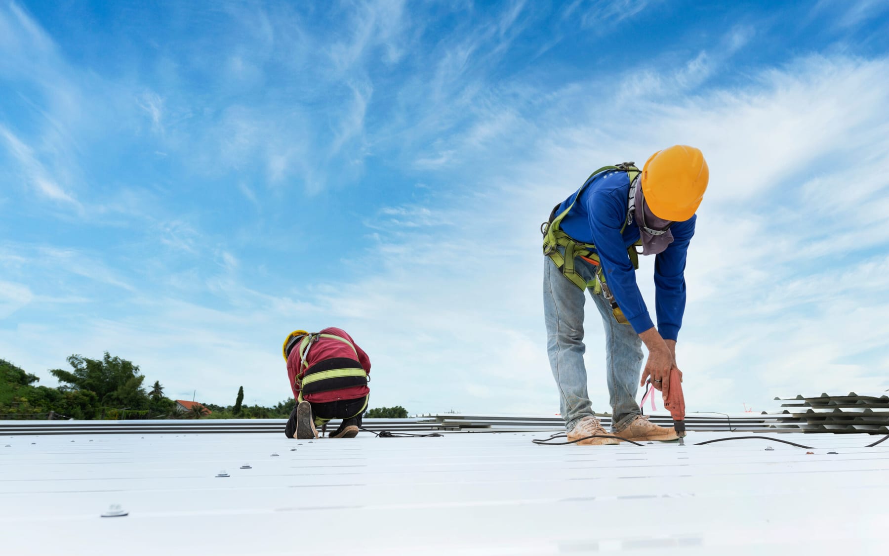 Workers standing on dark metal roof sheeting